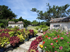 竹富小学校