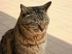 ねむたぃ･･･