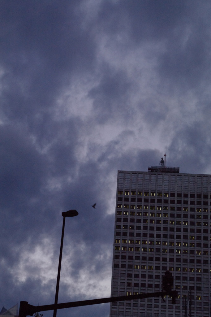 gotham city.