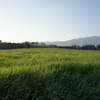 the 草原^^