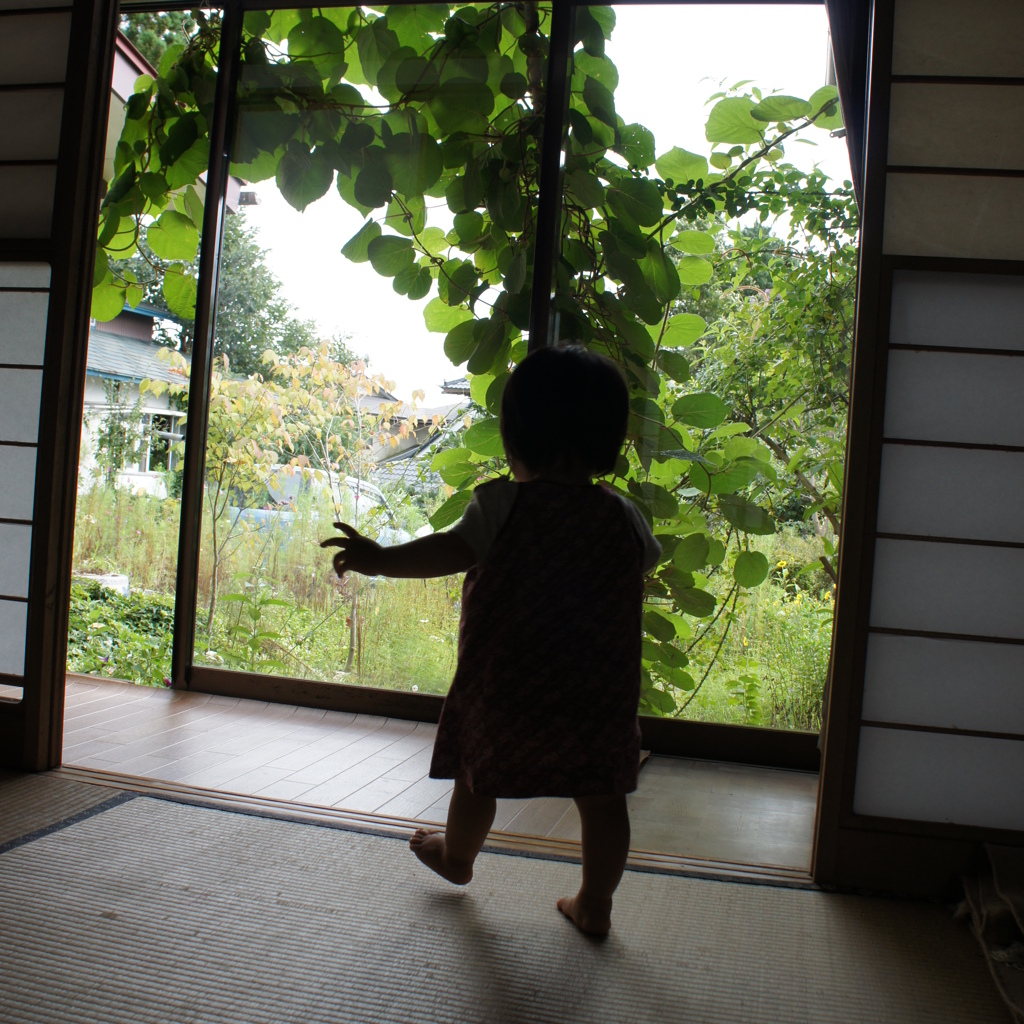 Return to ENGAWA