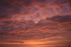 夕焼け雲②