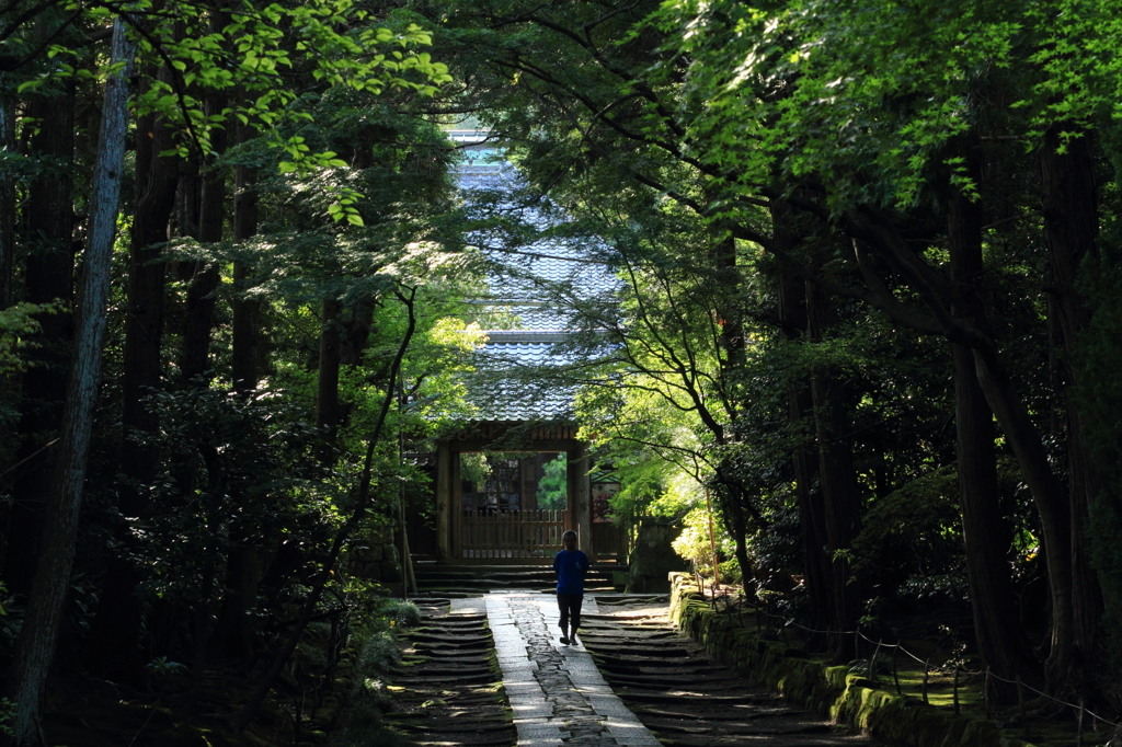 寿福寺