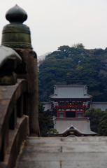 鶴岡八幡宮