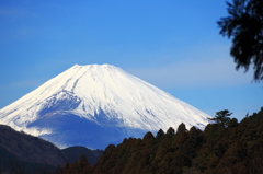 冬の富士