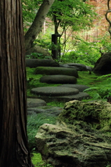 雨上がりの覚園寺