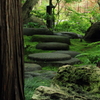 雨上がりの覚園寺
