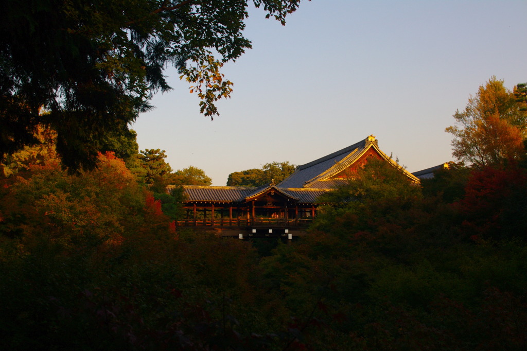 暮れ行く東福寺