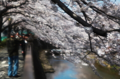 幸春