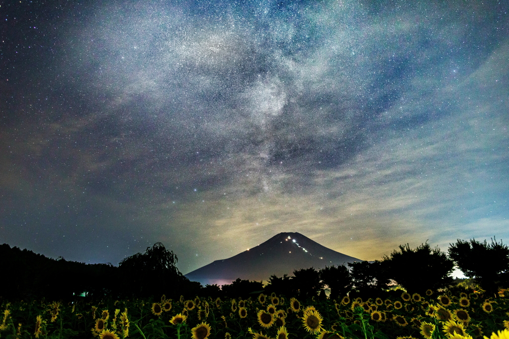 ひまわりと富士　見えなかった天の川