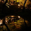 予期せぬ風景