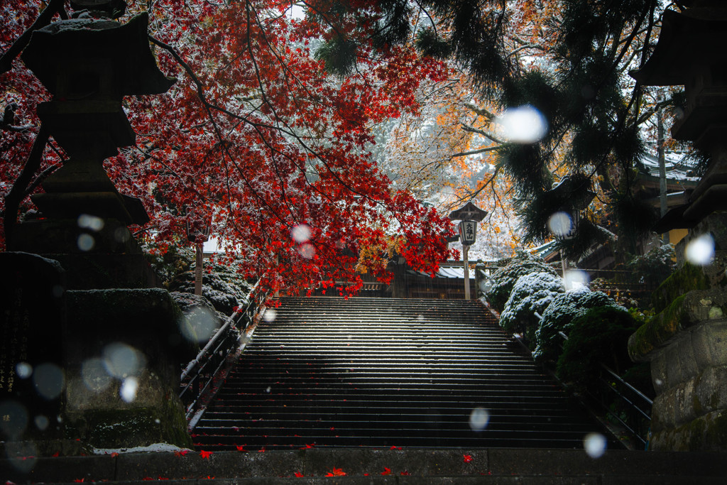 雪の大雄山最乗寺