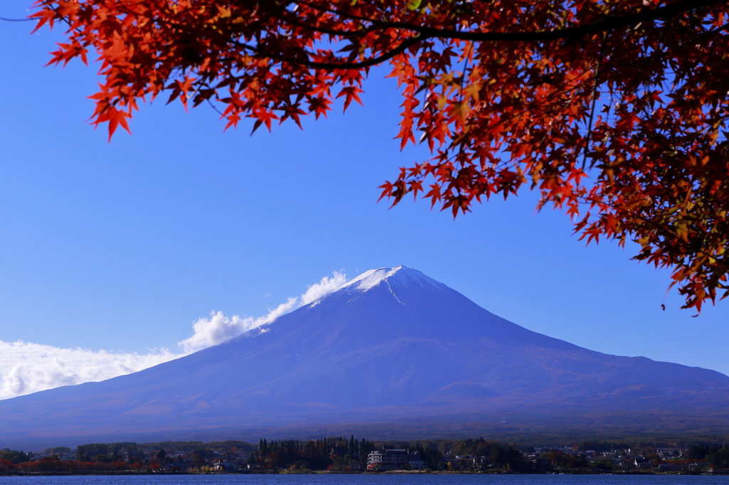 紅葉と青空と