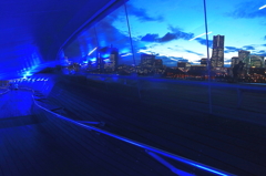 Blue　Light　Yokohama