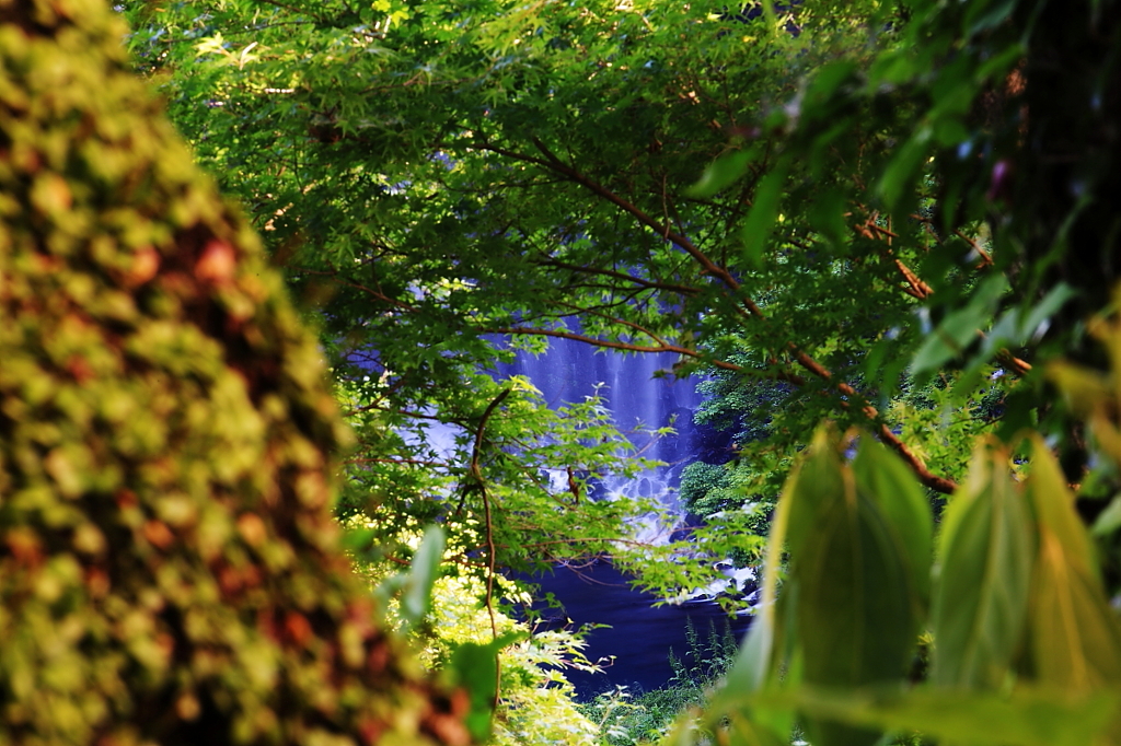 Paradise・・・・・・・・・