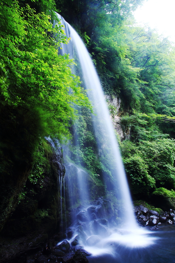 緑滝風