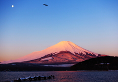 月と鳥と紅富士