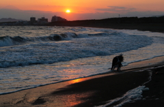 夕陽に遊ぶ