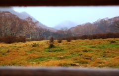 a frame