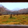 a frame