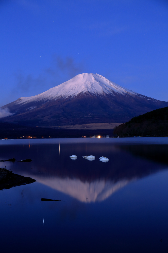 冨士に抱かれて　朝寝坊なはくちょうたち