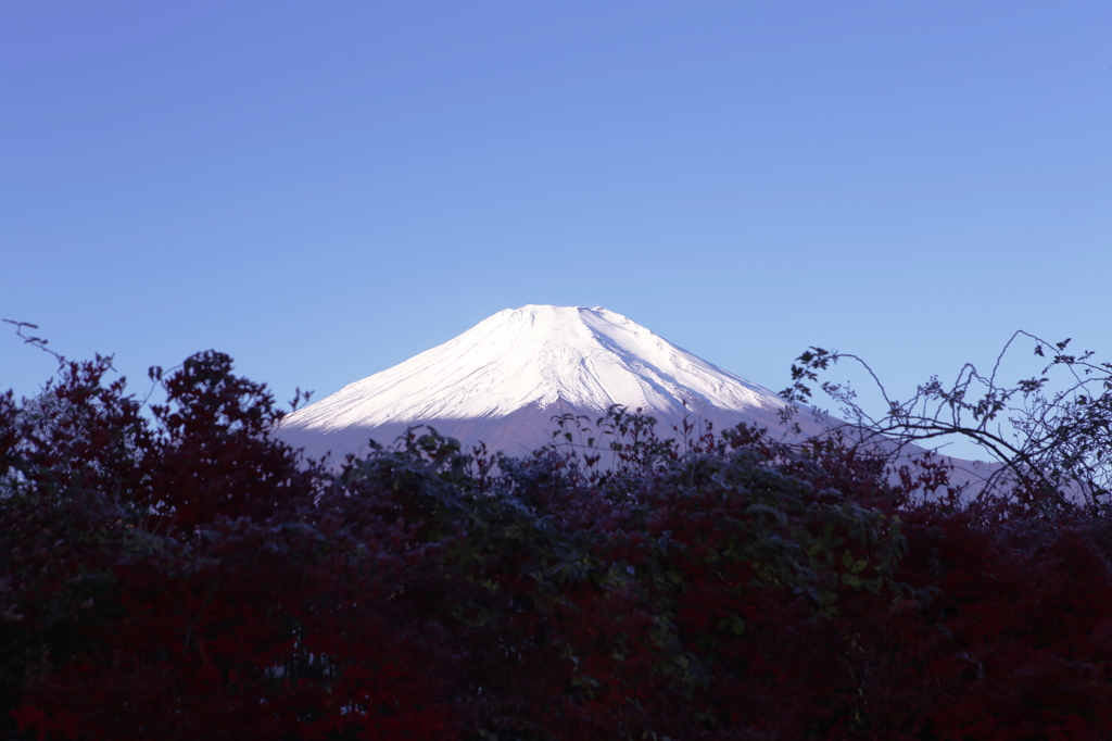 秋っ晴れ