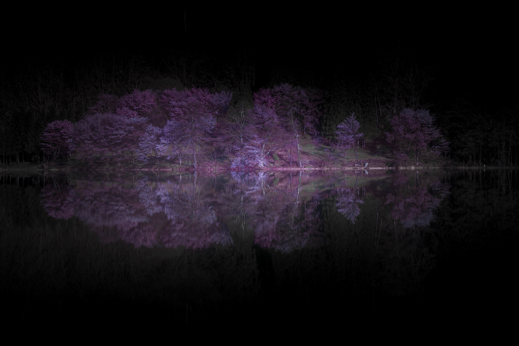 浮春
