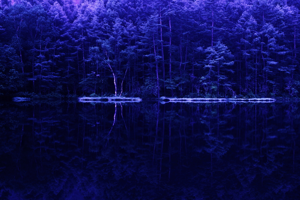 画伯のイメージ