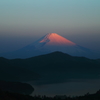 浮紅