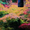 そうだ、箱根行こう