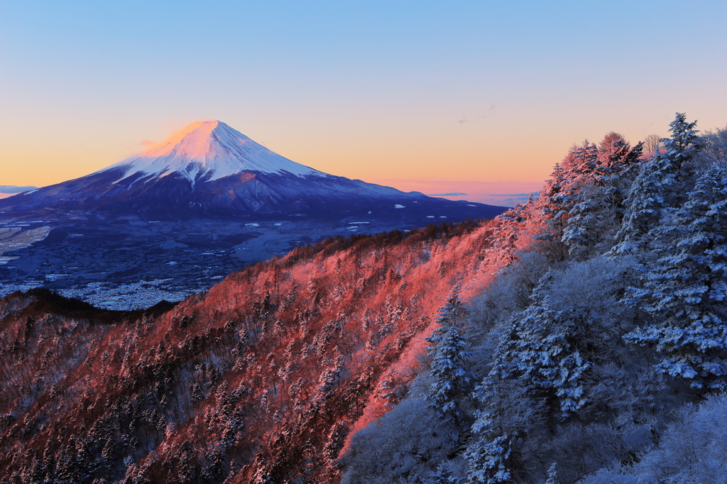 紅に染まる霧氷の稜線