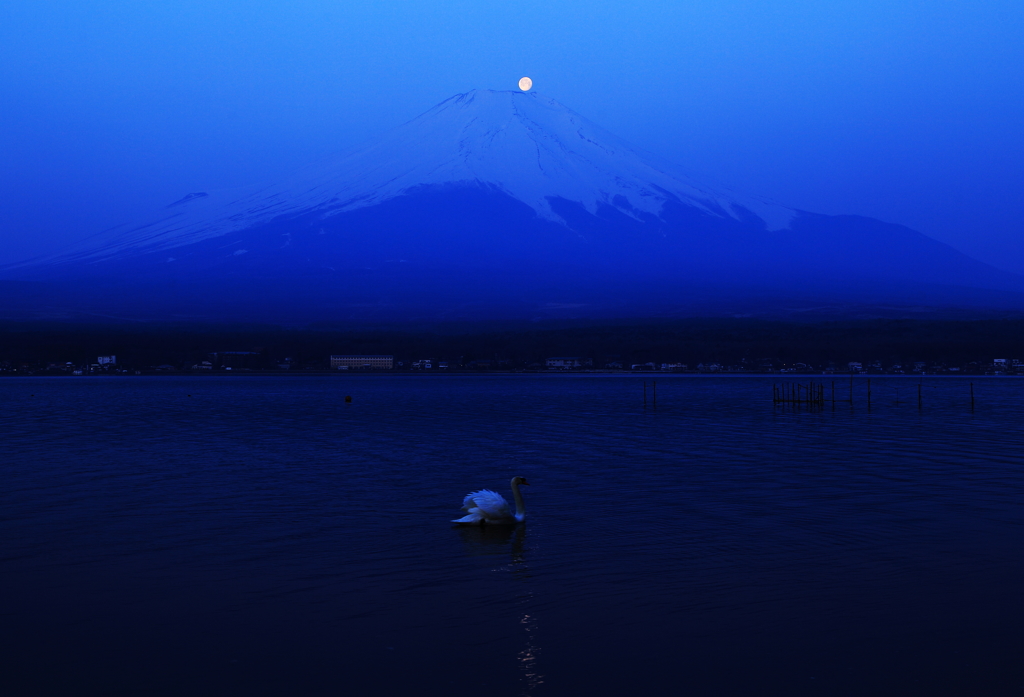 招かれざる客・・・・もしくは月の化身＾＾
