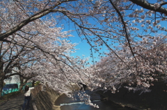 わかります、その気持ち