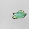 漂流