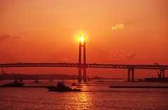 明日に架ける橋