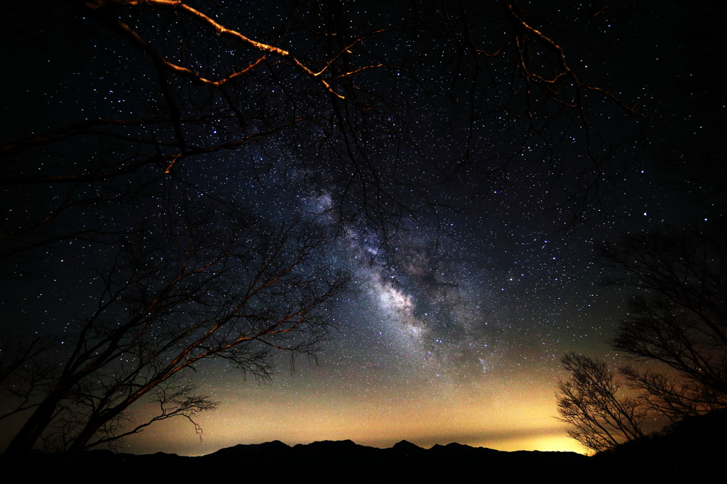 木立のフレーム