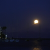 Pearl port