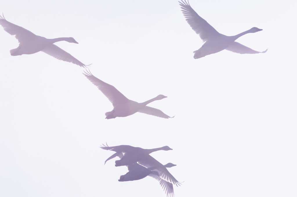空に憧れて