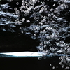春宵筏