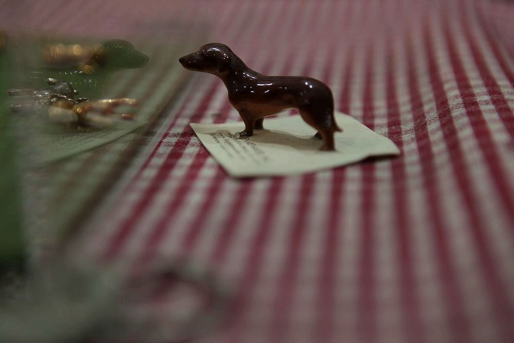 MINIATHREnoDACHSHUND