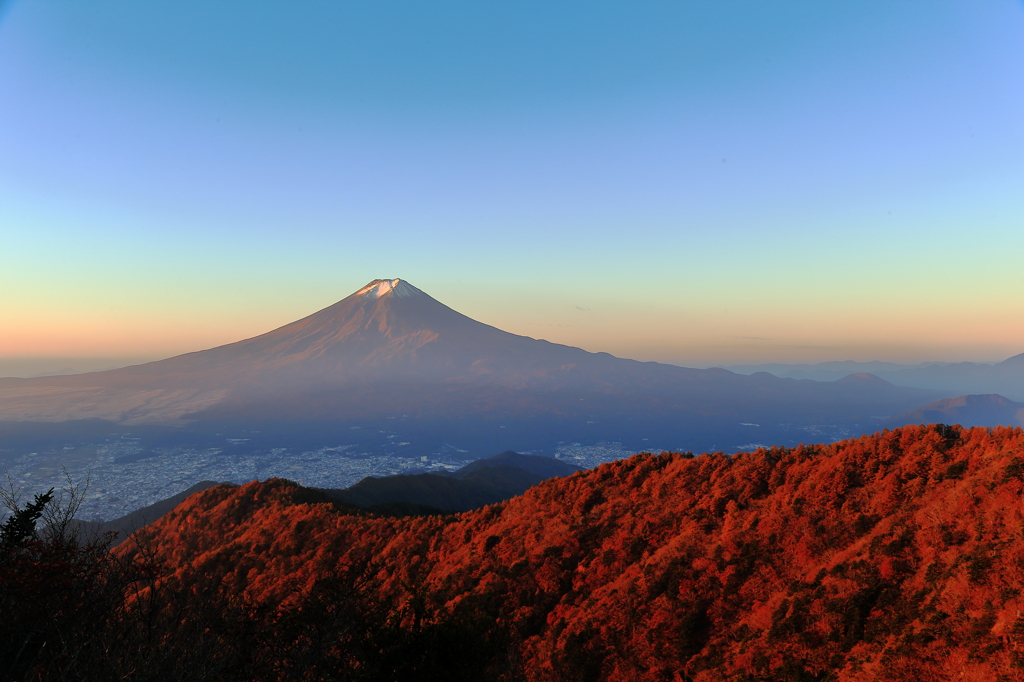 秋っ晴れ