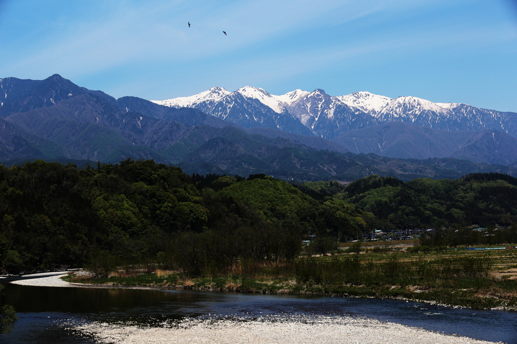 南信州の絶景Ⅳ　天竜川越しに臨む中央アルプスの峰々