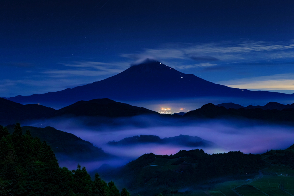蒼寂