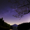 童星の里