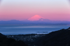 相模湾に浮かぶ紅