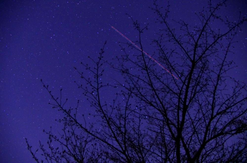 山中湖パノラマ台の桜