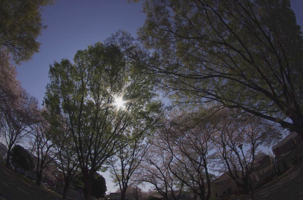 春夏～季節のリレー