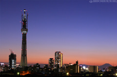 TokyoSkyTree & Mt.Fuji