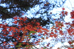 平成森林公園