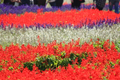 花公園